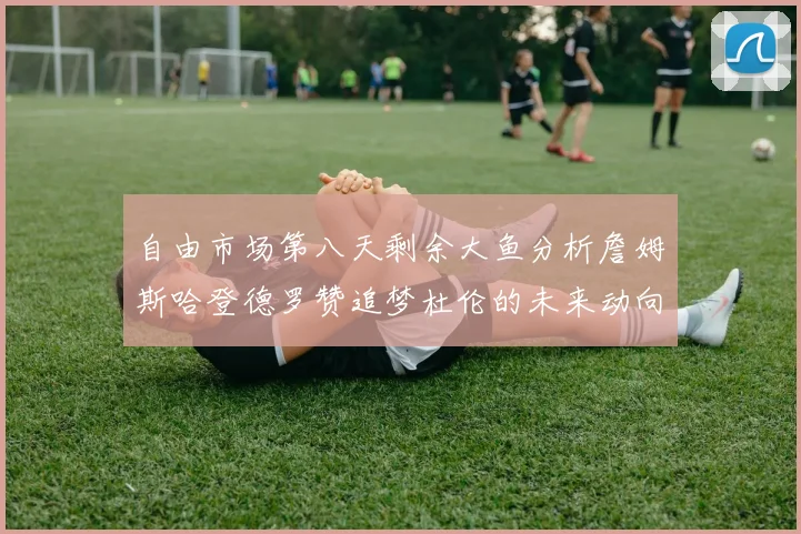 自由市场第八天剩余大鱼分析詹姆斯哈登德罗赞追梦杜伦的未来动向