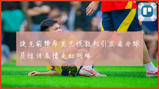 捷克前锋希克无视裁判引发南非球员惊讶表情走红网络