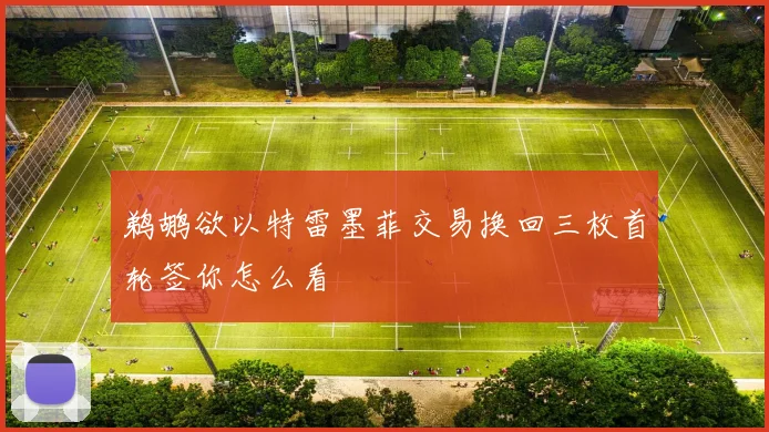 鹈鹕欲以特雷墨菲交易换回三枚首轮签你怎么看